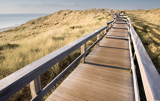 passerelle en bois dans un champ ouvert